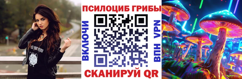 нарко площадка какой сайт Заволжье Галлюциногенные грибы ЛСД
