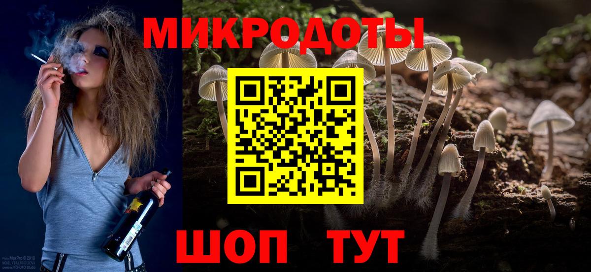 Галлюциногенные грибы мицелий Заволжье