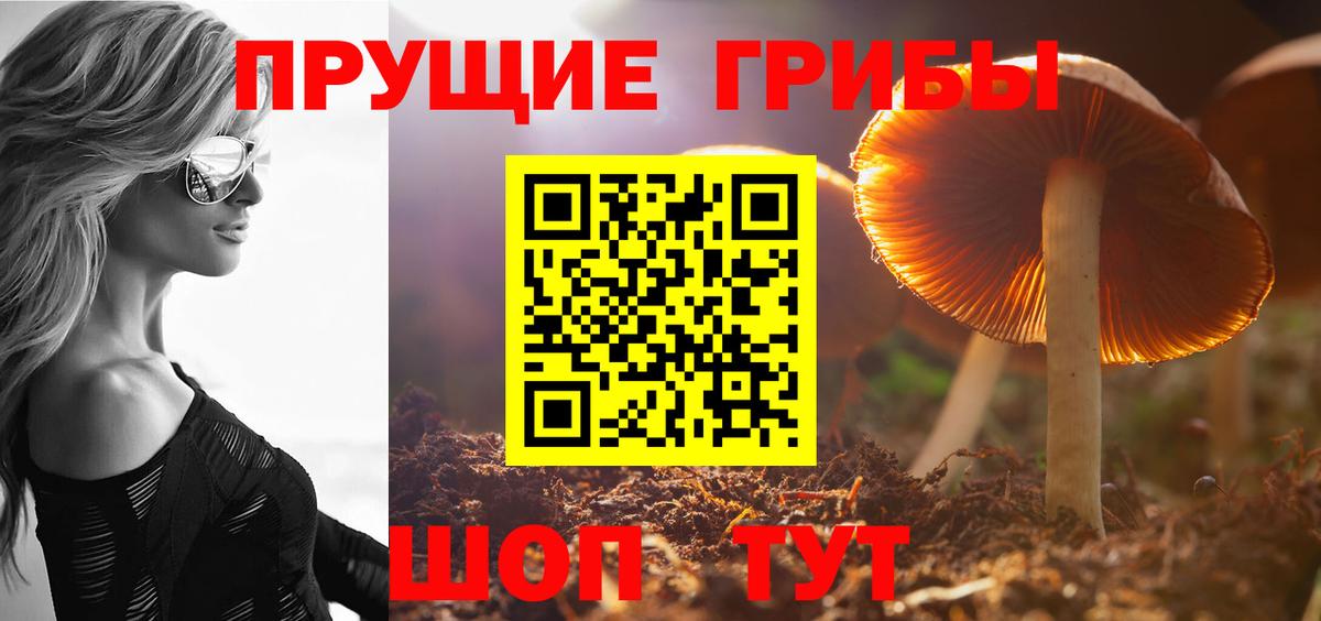 Галлюциногенные грибы Psilocybine cubensis  Псилоцибиновые грибы мицелий  где можно купить наркотик  Заволжье  Вход с VPN 